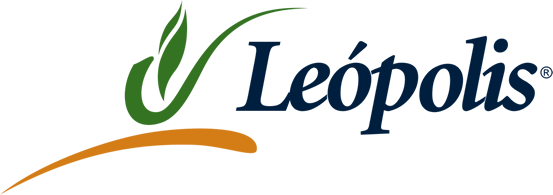 grupo-leopolis-logo